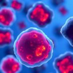 moffitt-study-uncovers-promising-combination-therapy-for-drug-resistant-melanoma