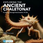 exploring-the-ancient-chaetognath:-a-journey-through-the-evolution-of-life