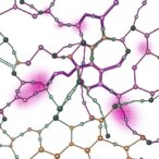 tracking-liver-fibrosis-regression-via-serological-proteomics