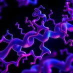 new-potent-tubulin-inhibitor-discovered-for-cancer