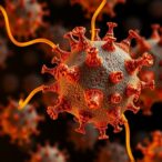 targeting-g1–s-checkpoint-cancers-with-cyclin-inhibitors