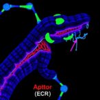 crispr-screens-reveal-gator1-as-tumor-suppressor