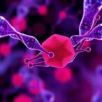 reformulated-cancer-drug-enhances-tumor-targeting-and-strengthens-combination-therapy-outcomes