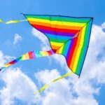 gilead’s-kite-sails-into-in-vivo-car-t-space-with-$350m-interius-buyout