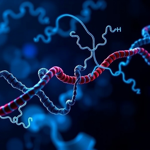 decoding-mtorc1’s-dynamic-amino-acid-control
