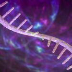 single-cell-proteomics-reveal-hidden-layers-of-gene-expression