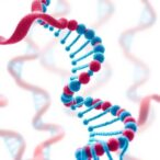 over-or-under?-navigating-the-twists-and-turns-of-genetic-research