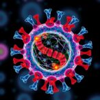 g9a-driven-h3k9me2-modification-safeguards-centromere-integrity