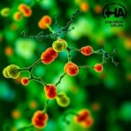 new-study-reveals-how-lymphoma-reconfigures-the-human-genome