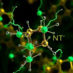 b3gnt5-controls-emt,-met,-chemoresistance-mechanisms