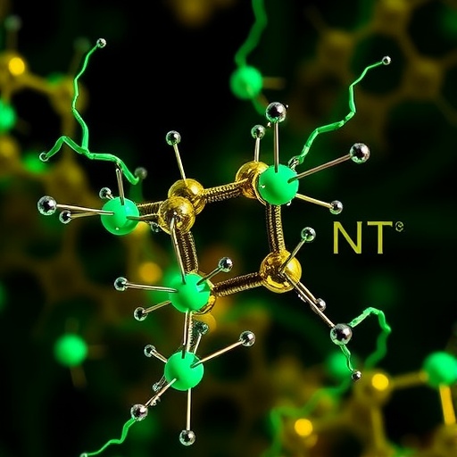 b3gnt5-controls-emt,-met,-chemoresistance-mechanisms