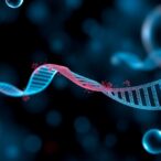 new-insights-into-the-cumulative-hbsag/hbv-dna-ratio-in-immune-tolerant-hepatitis-b-patients