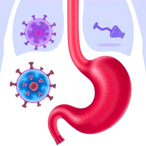 anti-pd-1-boosts-gastric-cancer-with-hepatitis-b