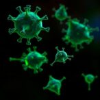 sars-cov-2-triggers-pro-fibrotic,-pro-thrombotic-foam-cells