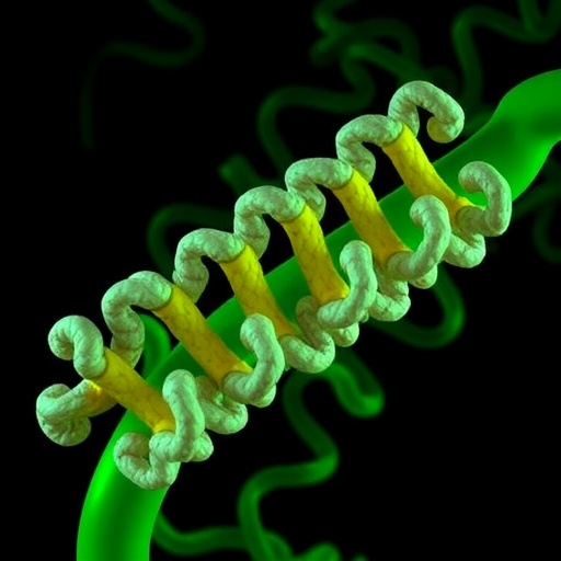 reticulata1:-key-plastid-basic-amino-acid-transporter