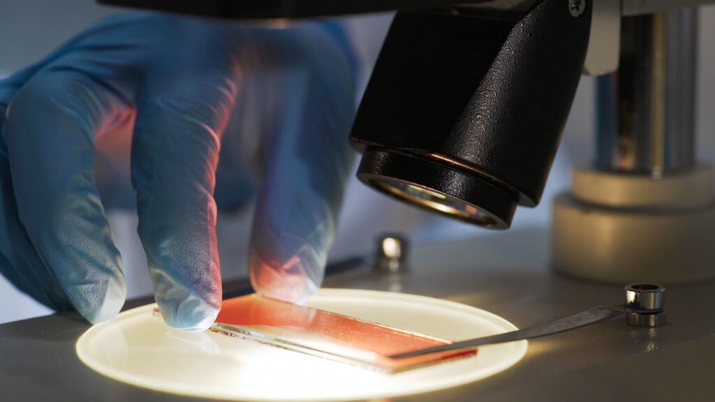 tempus-claims-ai-pathology-developer-paige-in-$81m-deal