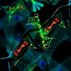 wtap-drives-dna-repair-via-m6a-foxm1-in-liver-cancer