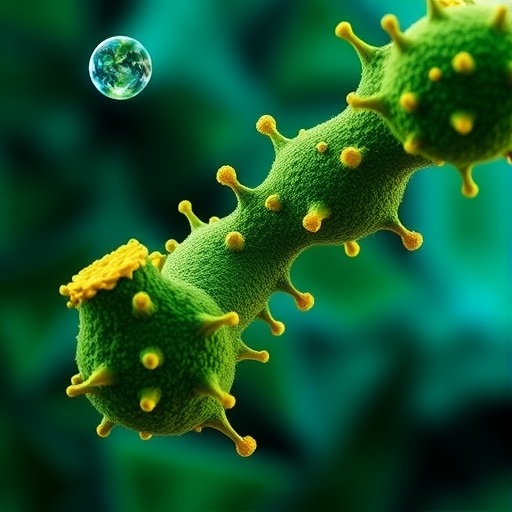 new-insights-into-exercise’s-molecular-benefits-in-parkinson’s