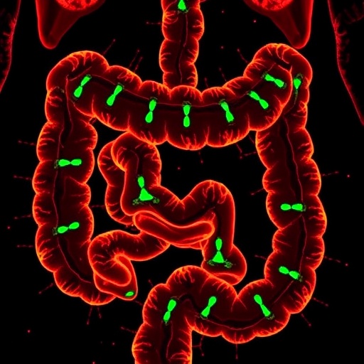 cannabidiol-blocks-colorectal-cancer-spread-via-wnt-pathway