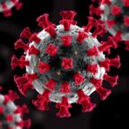 crispr-screen-reveals-suv39h2-drives-ohsv-1-resistance