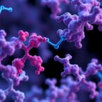 targeting-mesothelin-low-tumors-with-protein-drug-conjugates