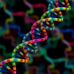 deep-genome-sequencing-uncovers-placental-genetic-diversity