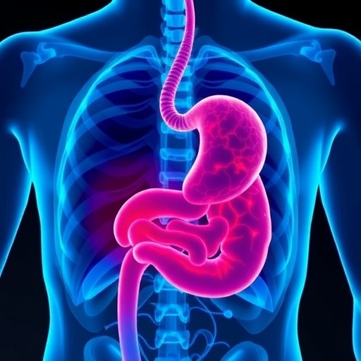 uncovering-risks-in-synchronous-multiple-early-gastric-cancer