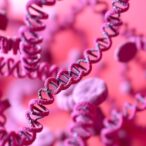 long-non-coding-rnas-in-hormone-driven-cancers