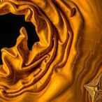 direct-repeats-discovered-near-intron-splice-sites