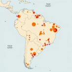post-fire-growth-insights-of-cyathea-mexiae-in-brazil