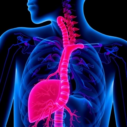 carotid-calcifications-and-pulp-stones:-diabetes-warning?