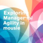 exploring-managerial-agility-in-nursing-practice