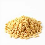 acacia-saligna-seed-meal:-a-soy-replacement-for-broilers