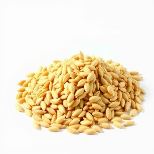 acacia-saligna-seed-meal:-a-soy-replacement-for-broilers
