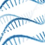 arnatar-unveils-with-$52m,-dual-modality-rna-platform-and-rare-disease-asset