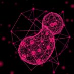 revolutionary-multi-omics-ai-model-enhances-preterm-birth-prediction-accuracy-to-nearly-90%