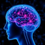 brain’s-molecular-‘brake’-in-development-may-unlock-new-treatments-for-multiple-sclerosis