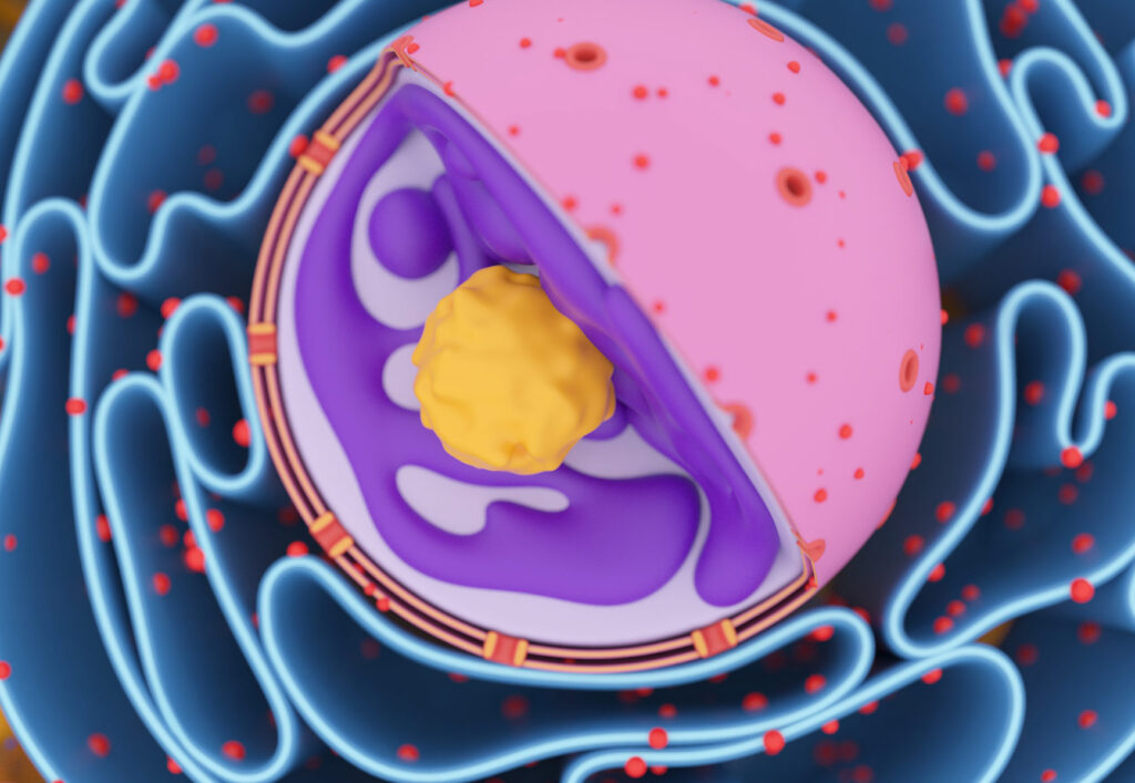 infertility-insights-revealed-by-sperm-cell-3d-genome-organizer