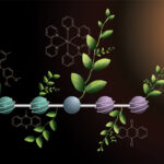 artificial-photosynthesis-moves-forward-with-new-molecule