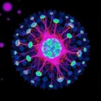 vesalius-cell-mapping-tool-offers-in-depth-multi-layered-insights-into-cancer-behavior