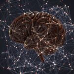 novartis-pens-bioarctic-pact-worth-$30m-upfront-to-find-new-drug-in-neurodegeneration-field