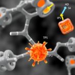 exploring-la3+-doping-effects-in-nasicon-latp-electrolytes