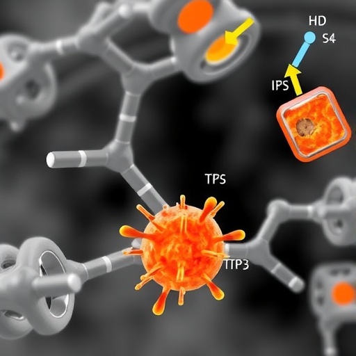 exploring-la3+-doping-effects-in-nasicon-latp-electrolytes
