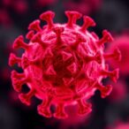 c-di-gmp-boosts-tlr4-adjuvanted-tb-vaccine-efficacy