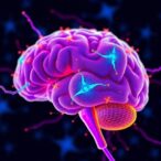 immune-cells-in-the-brain:-crucial-architects-of-adolescent-neural-wiring