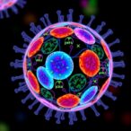 mucosal-associated-invariant-t-cells:-functions-and-therapies