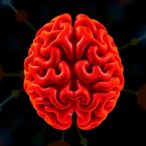 tcf7l2-gene-variants-linked-to-ischemic-stroke-risk