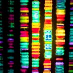 ai-reveals-how-protein-modifications-link-mutations-to-disease