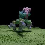 complete-botulinum-toxin-complex-structure-revealed-through-cryo-em