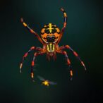 spider-lures-prey-with-trapped-fireflies-acting-as-glowing-bait